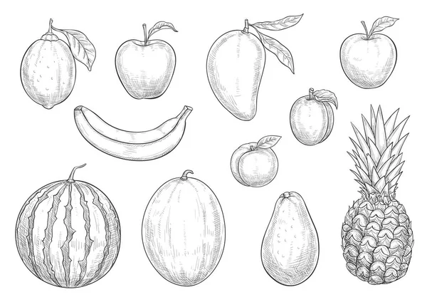 Fresh exotic fruits sketch vector isolated icons — Stock Vector