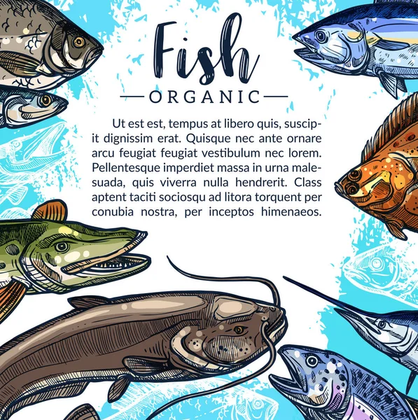 Cartaz de vetor das capturas de peixe para o mercado da pesca —  Vetores de Stock