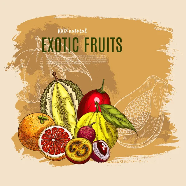 Vektor exotische Durian, Mango, Papayafrüchte Poster — Stockvektor