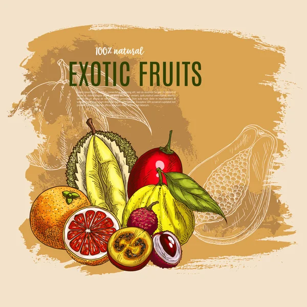 Vektör egzotik durian, mango, papaya meyve poster