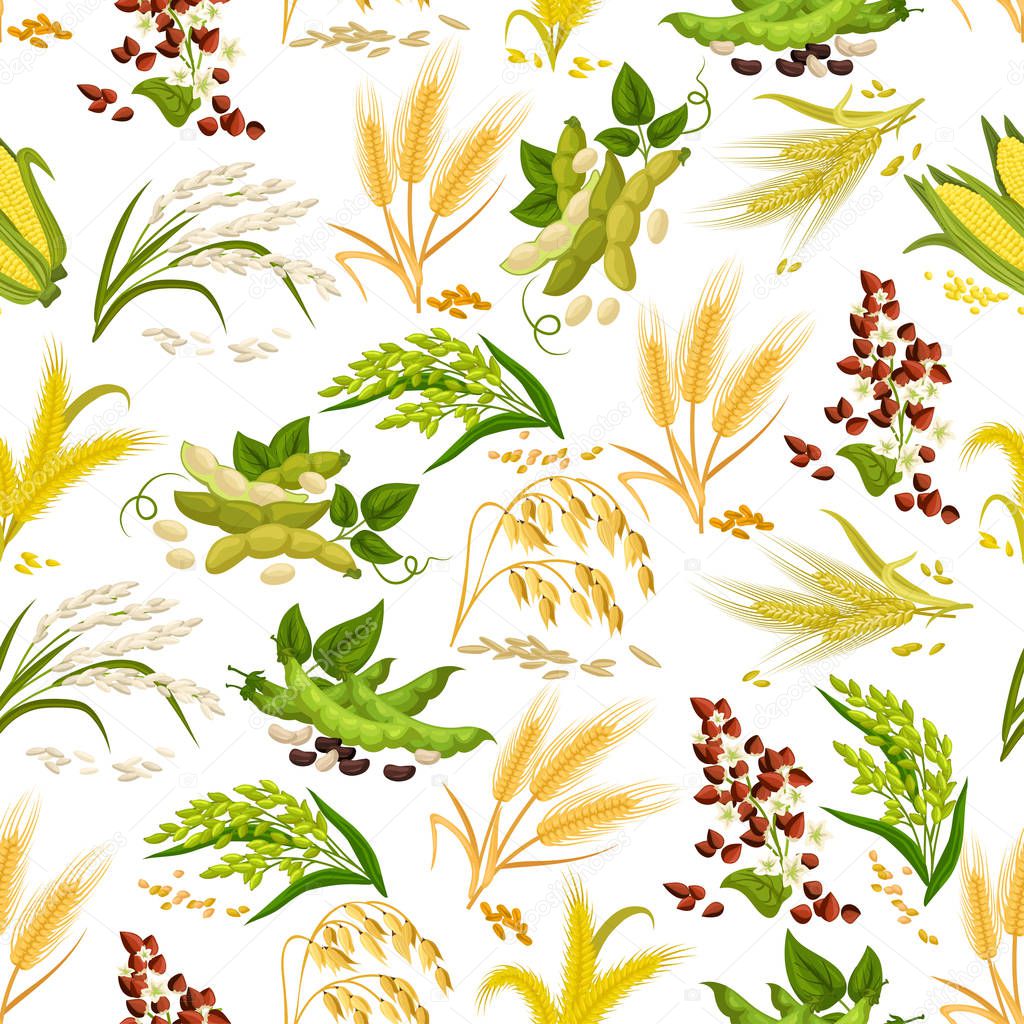 Cereals vector seamless pattern of grain