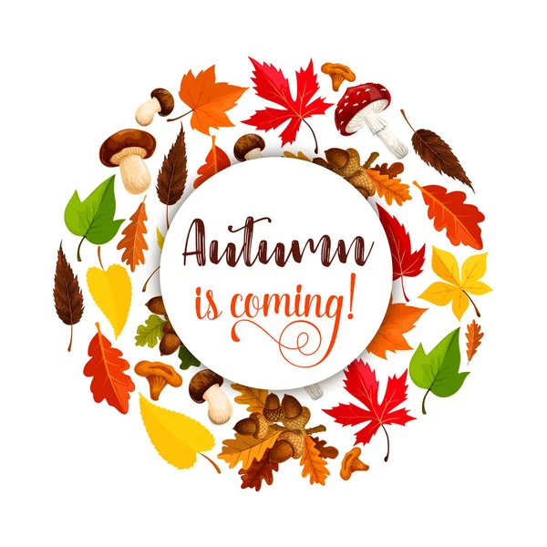 Poster vectoriel automne de la chute des feuilles d'érable — Image vectorielle