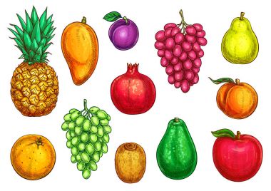 Egzotik Bahçe meyve izole vektör simgeleri
