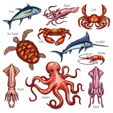 Vector icons of seafood or fish food fishing catch clipart