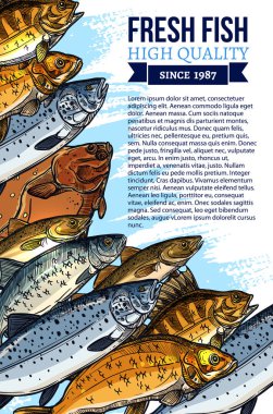 Taze balık ve deniz ürünleri Pazar için vektör poster