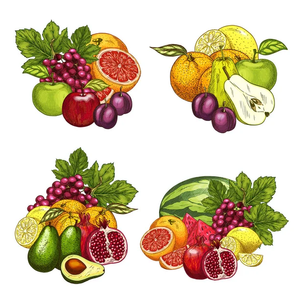 Vector schets iconen van exotische tuin vruchten bos — Stockvector