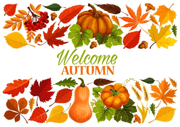 Herfst banner met rand van val blad, pompoen — Stockvector