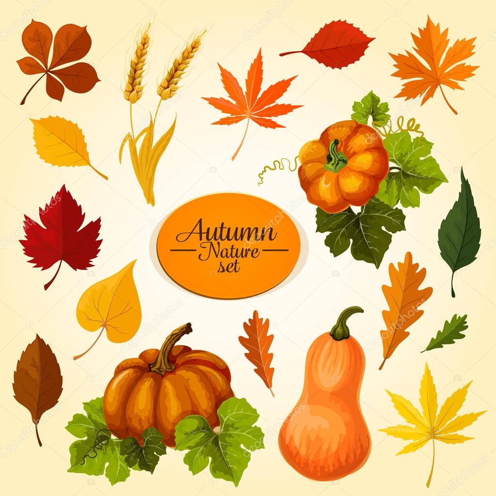 Autumn vegetable and fallen leaf icon set design