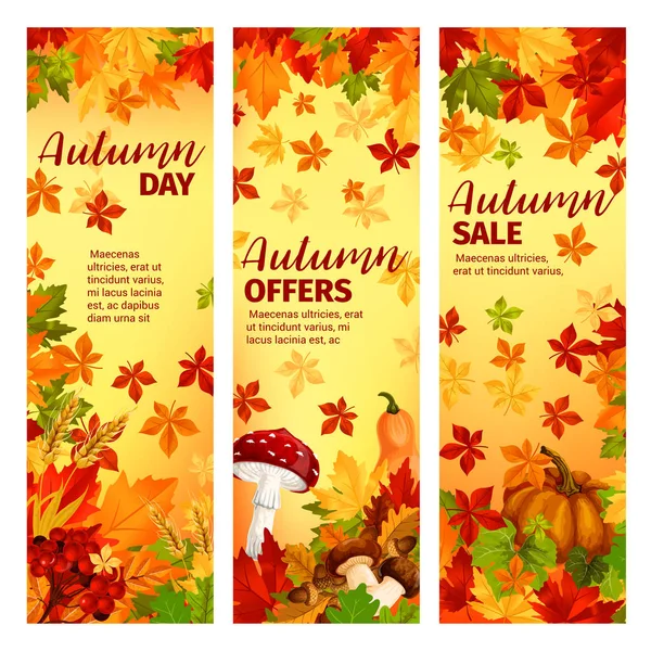 Ensemble de bannière de vente d'automne de feuilles d'automne et de citrouille — Image vectorielle