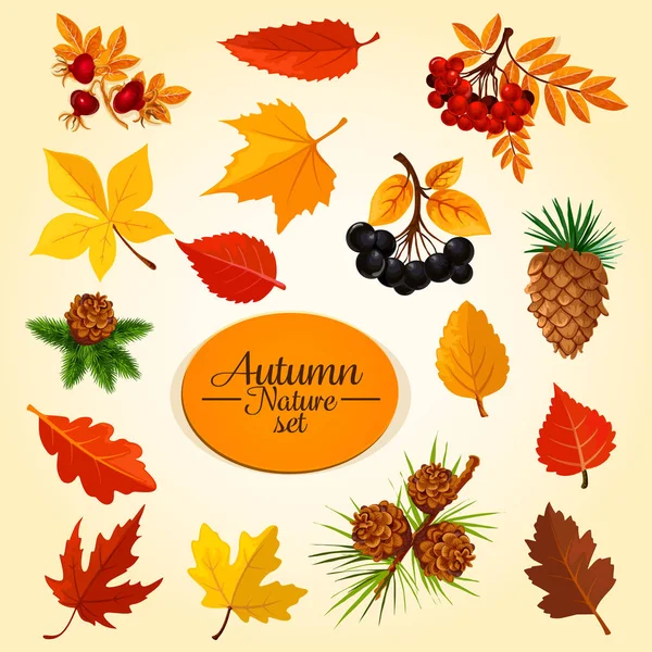 Autumn leaf, fruit and berry, fall season icon set — Stock Vector