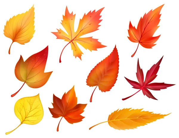 Herfst gebladerte van Val vallende blaadjes vector icons — Stockvector