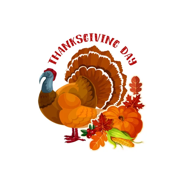 Dia de Ação de Graças peru e símbolo de abóbora de outono — Vetor de Stock