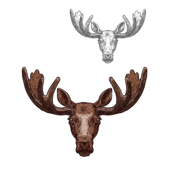 Moose or elk wild animal head isolated sketch — Stock Vector