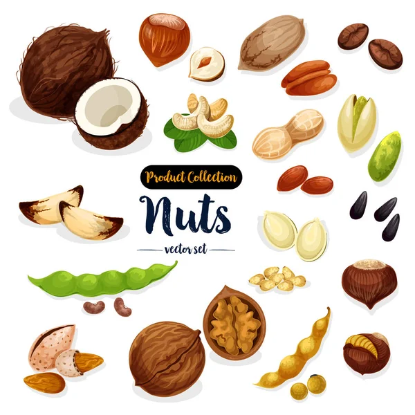Nueces, semillas, conjunto de iconos de dibujos animados de frijoles para el diseño de alimentos — Vector de stock