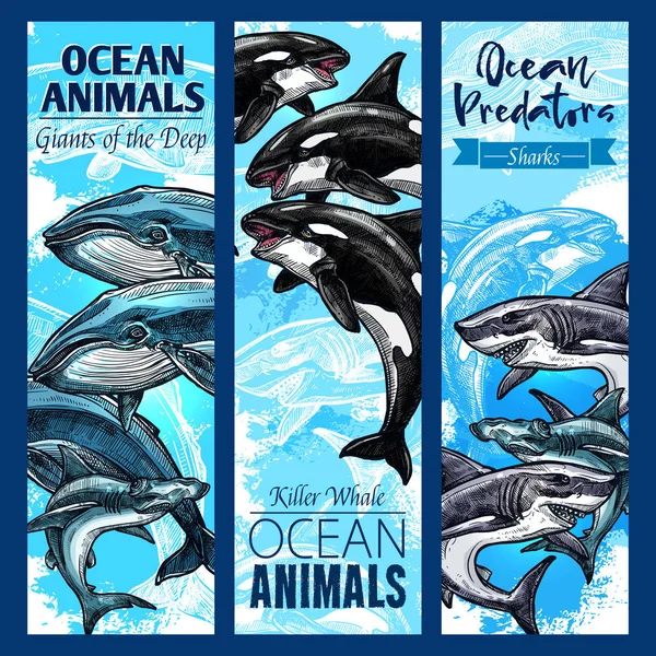 Tiburón y ballena, conjunto de pancartas de animales depredadores del mar — Vector de stock