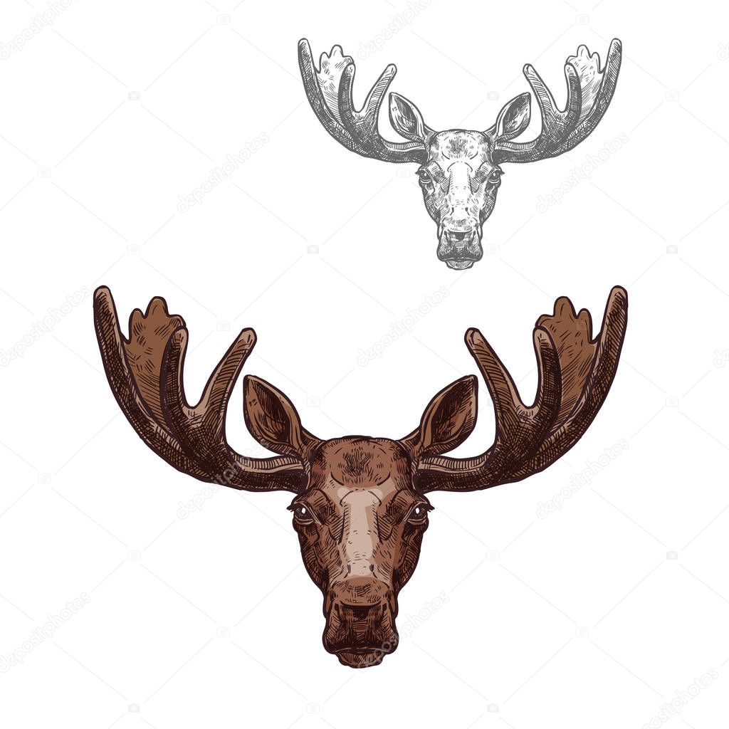 Moose or elk wild animal head isolated sketch