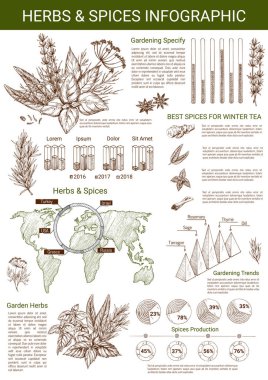 Vektör infographics baharat ve otlar için