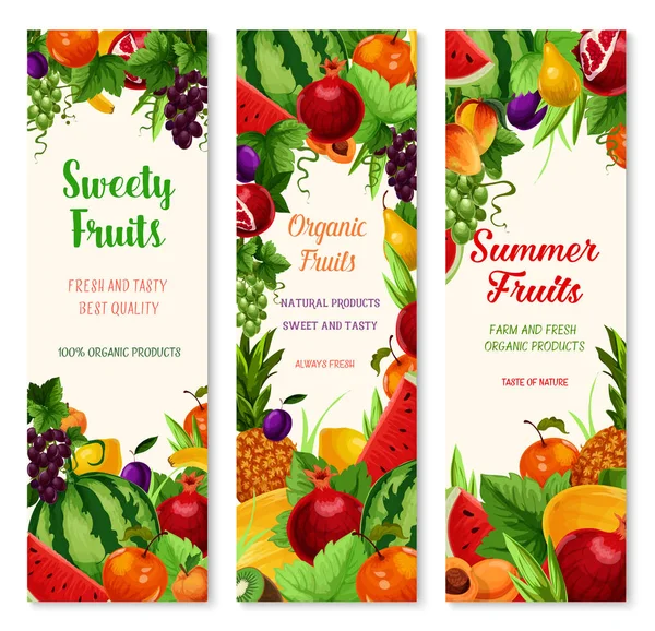 Fresh fruit cartoon banner for food, drink design Stock Vector Image by
