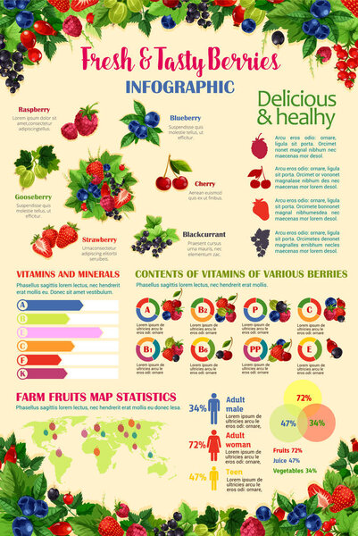 Vector infographics template for fresh berries