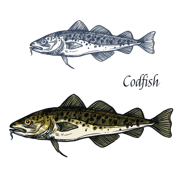 Vector de peces de bacalao icono de boceto aislado — Vector de stock
