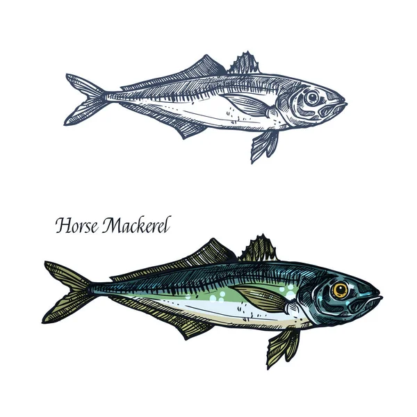 Makrele Fisch Vektor isolierte Skizze Symbol — Stockvektor