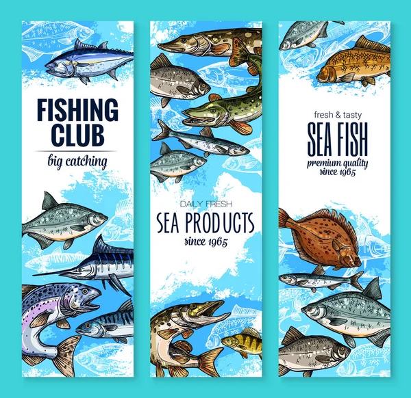 Bandiere vettoriali set di catture di pesce per club di pesca — Vettoriale Stock