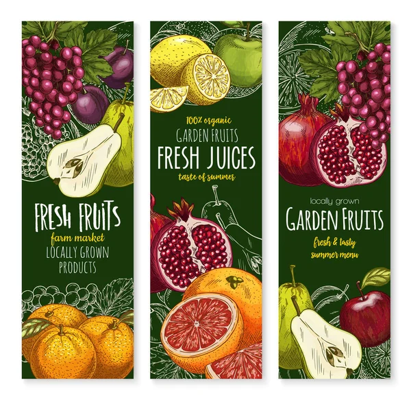 Banderas de bosquejo vectorial de frutas tropicales exóticas — Vector de stock