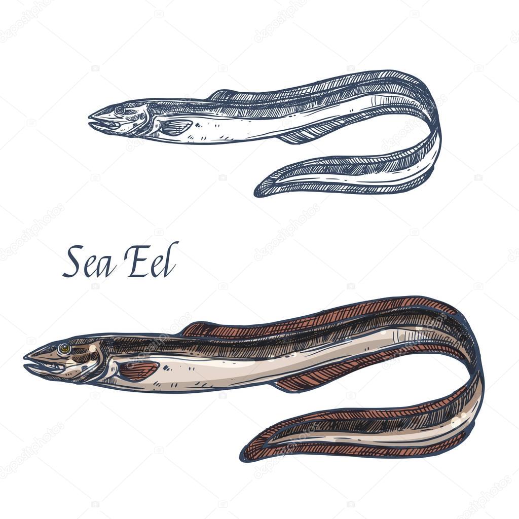 Sea eel fish vector isolated sketch icon