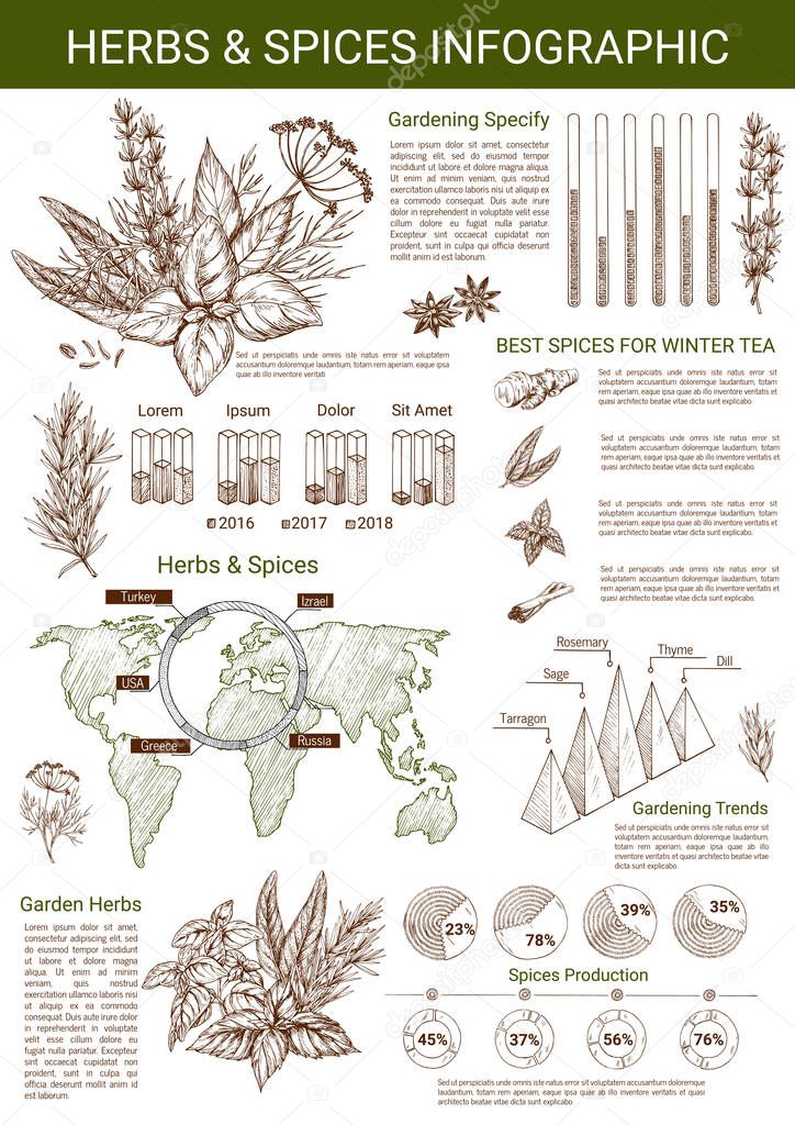 Vector infographics for spice and herbs
