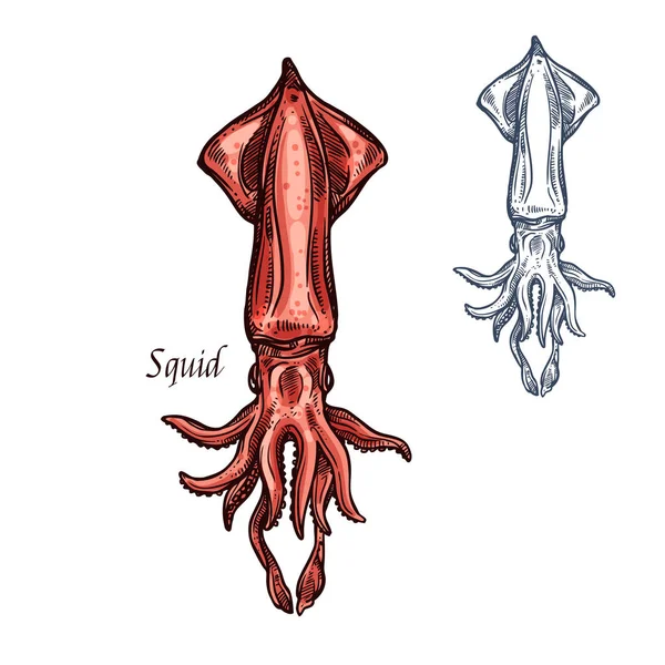 Squid szkic ikona na białym tle owoce morza wektor — Wektor stockowy
