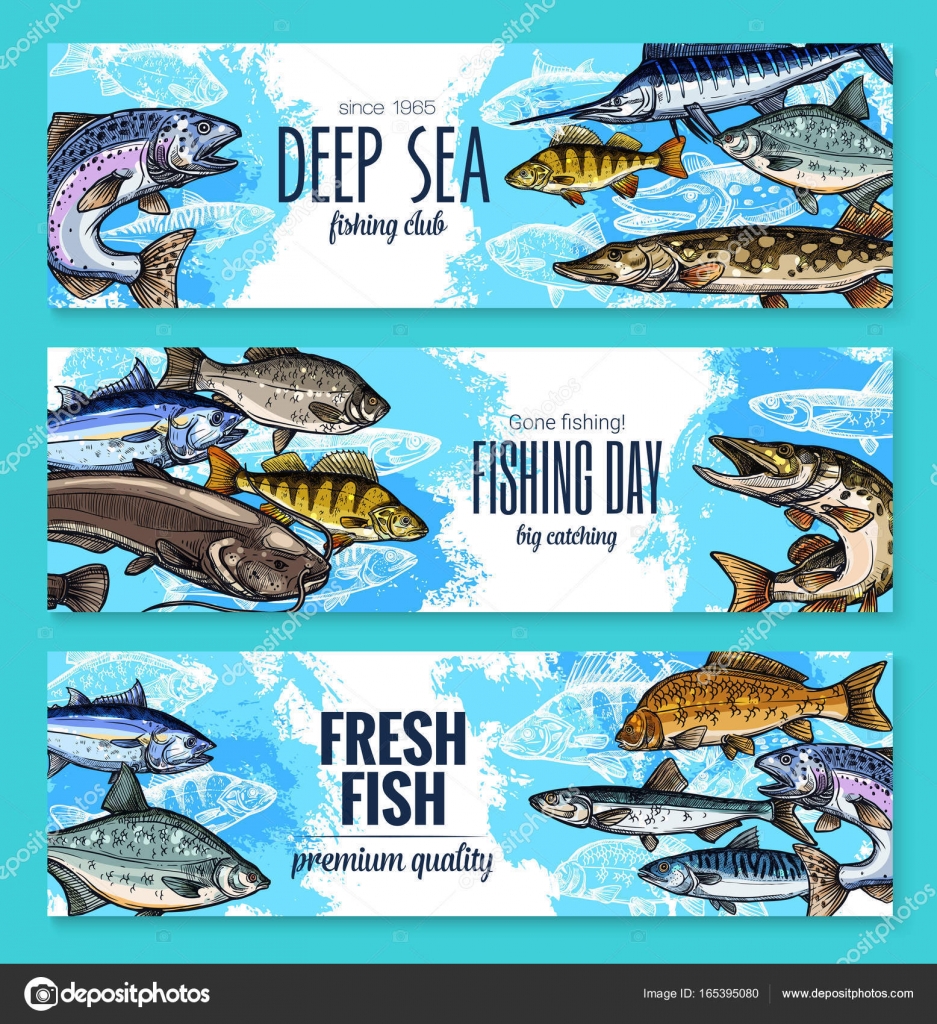 Vector banners for fishing or fish sea life Stock Vector by ©Seamartini  165395080