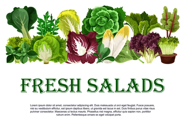 Cartaz vetorial de saladas frescas verduras folhosas — Vetor de Stock