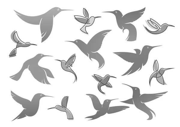 Iconos vectoriales de colibrí tarareando pájaro — Archivo Imágenes Vectoriales