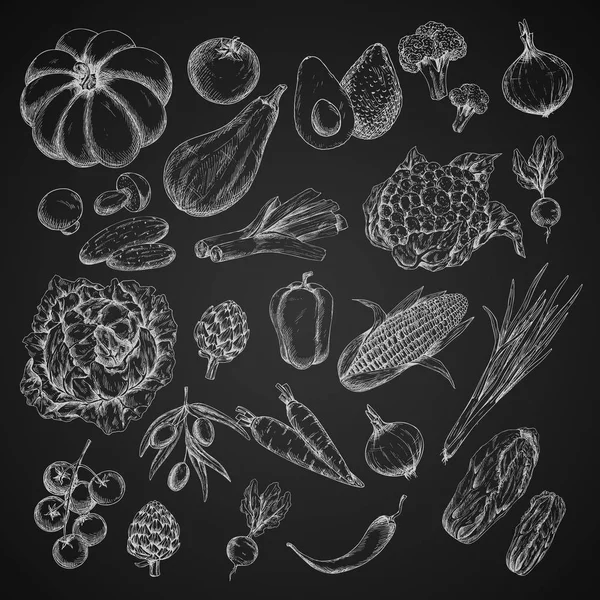 Vector vegetables chalk sketch icons set — Stock Vector