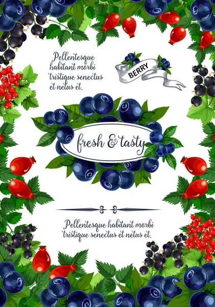 Векторный плакат свежих ягод и фруктов — стоковый вектор