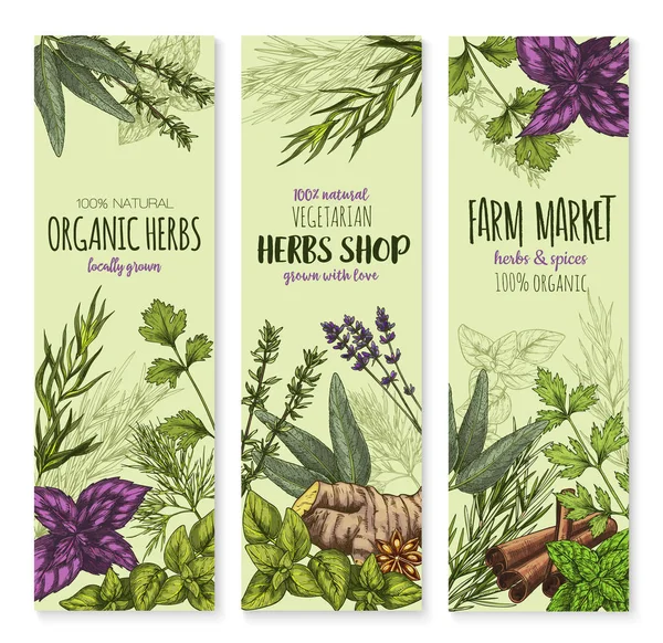 Spices and herbs vector banners set — Stock Vector