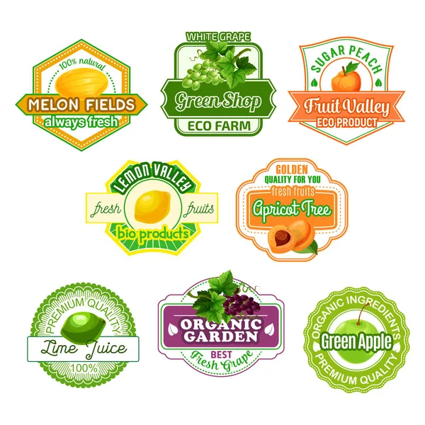 Vector icons for fruit juice or farm market — Stock Vector