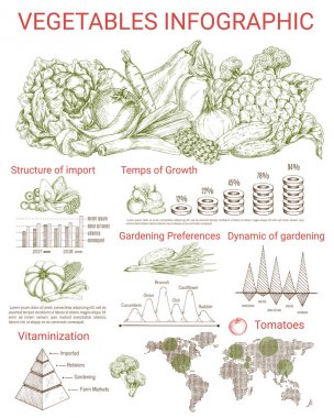 Sebze infographics tasarım grafiklerle