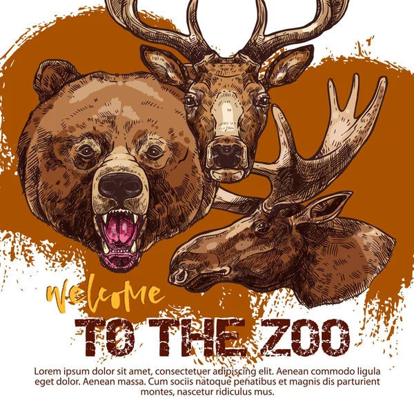 Ζωολογικό κήπο ζώα πανό με σκιαγραφημένο αρκούδα, αγαπητό και Άλκης — Διανυσματικό Αρχείο