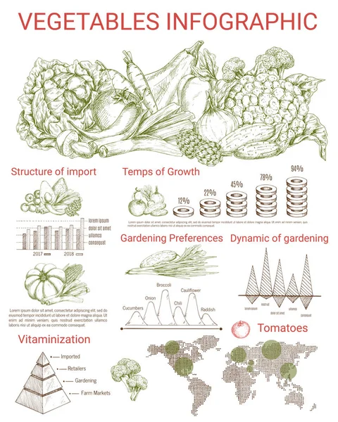 Sebze infographics tasarım grafiklerle