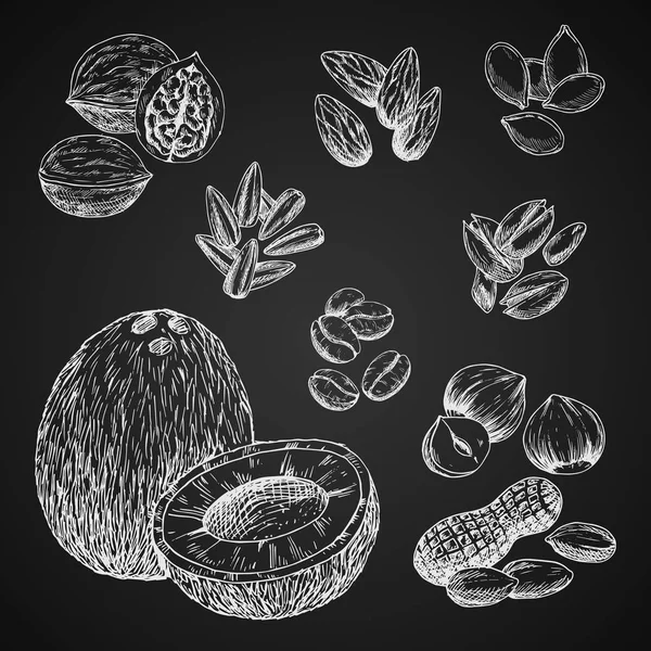 Орехи, семена и бобы на доске — стоковый вектор