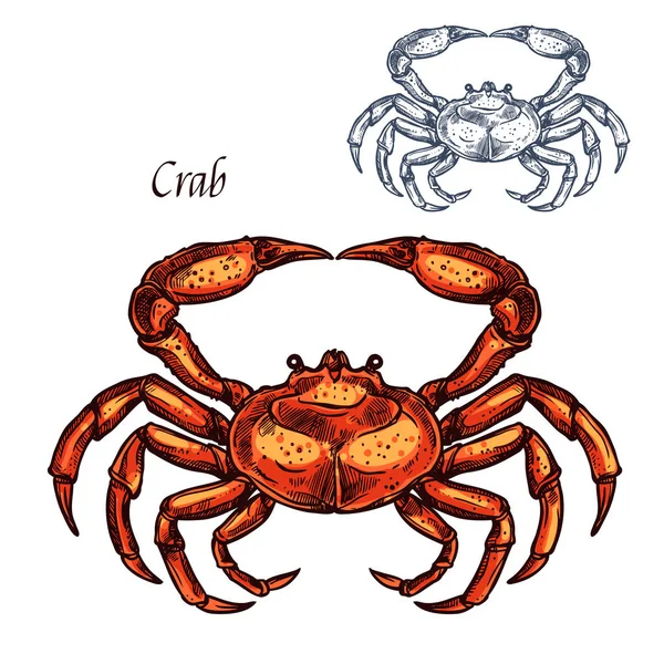 Röd krabba djur isolerade skiss — Stock vektor