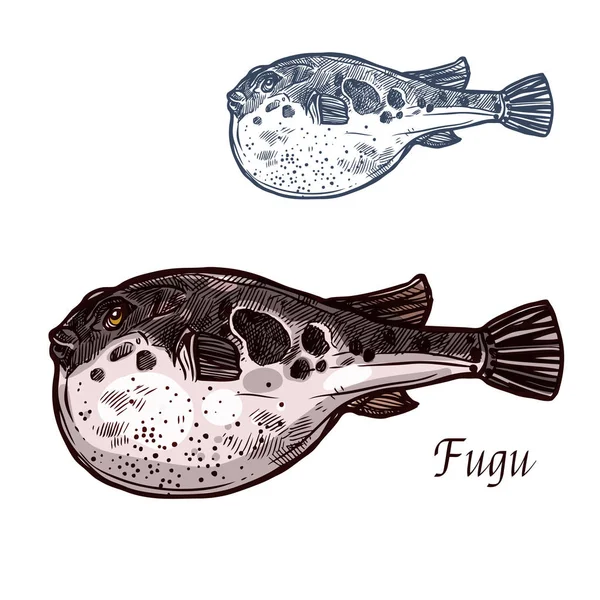 Ψάρια Fugu σκίτσο του λαγοκέφαλου Ιαπωνικά — Διανυσματικό Αρχείο