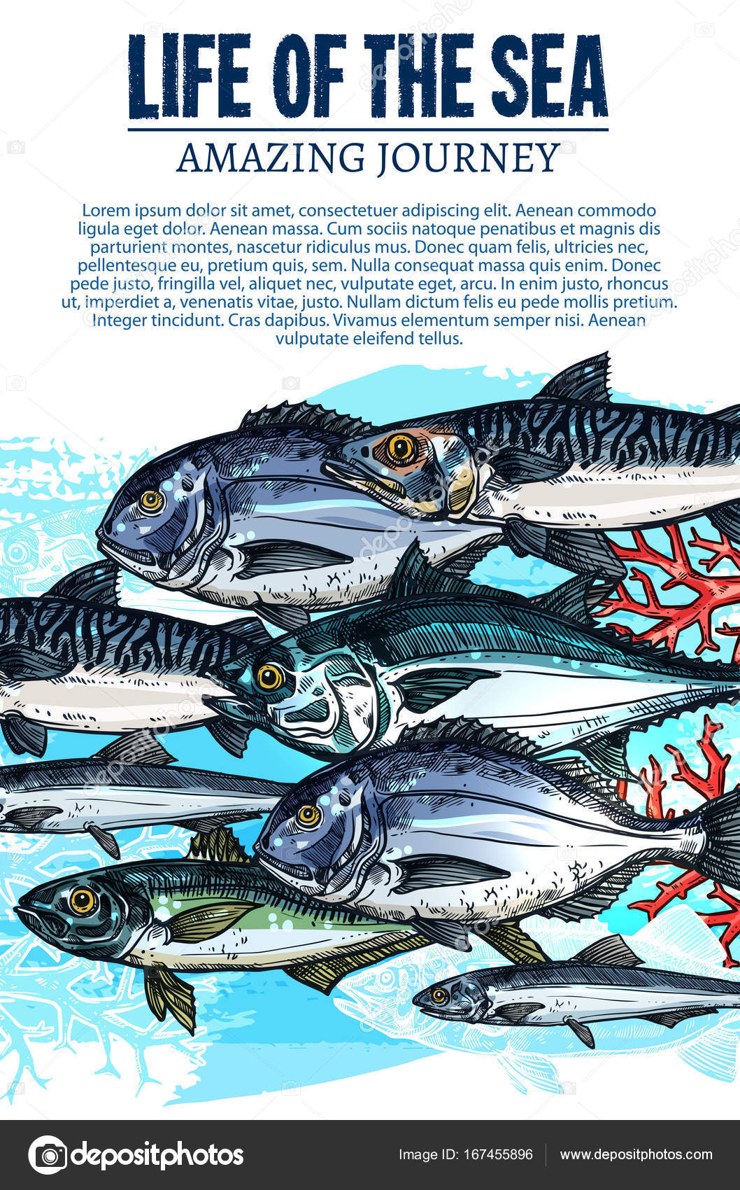 Vector poster of sea fish sketch ocean fishes life Stock Vector Image by ©Seamartini #167455896 Vector poster of sea fish sketch ocean fishes life Stock Vector Image by ©Seamartini #167455896