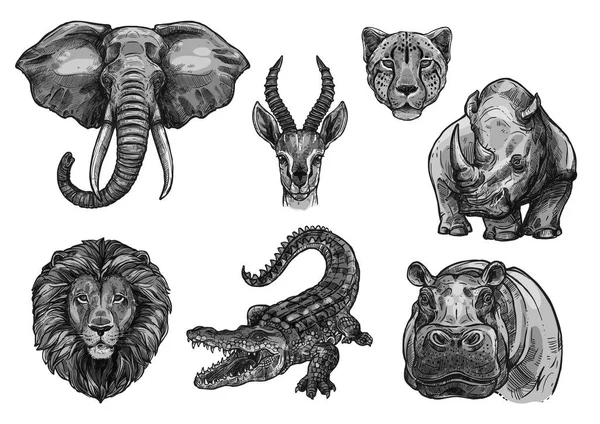 Wild animals vector sketch icons for African zoo — Stock Vector