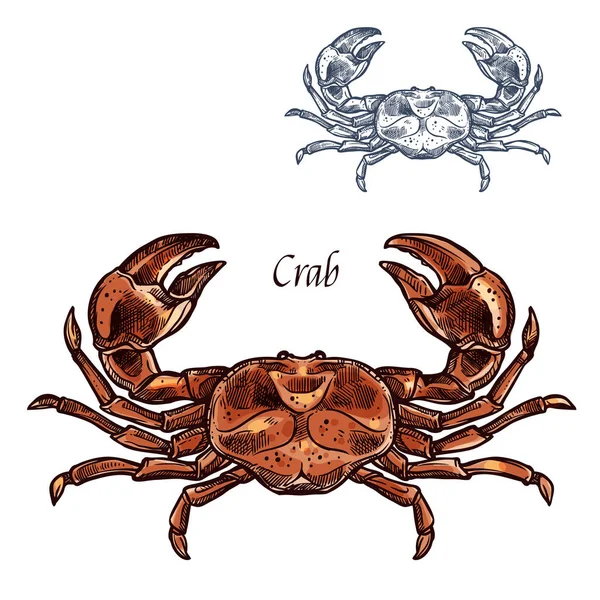 Crab lobster seafood vector isolated sketch icon — Stock Vector