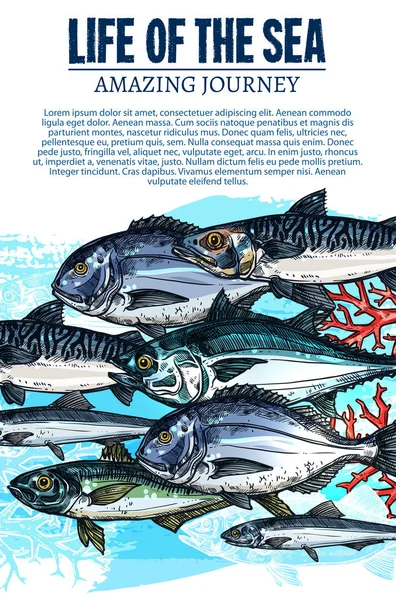 Cartel vectorial de peces marinos bosquejo océano peces vida — Archivo Imágenes Vectoriales