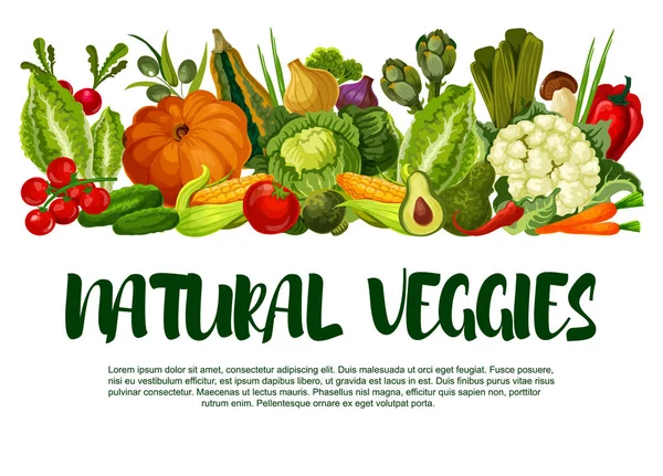 Cartel vectorial de la cosecha de verduras o verduras — Vector de stock