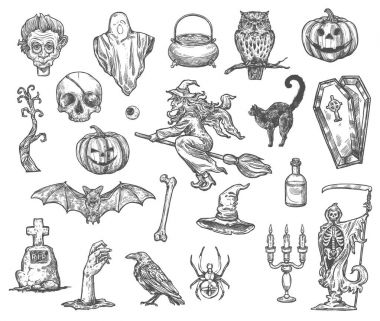 Halloween cadı canavar vektör kroki simgeler kümesi