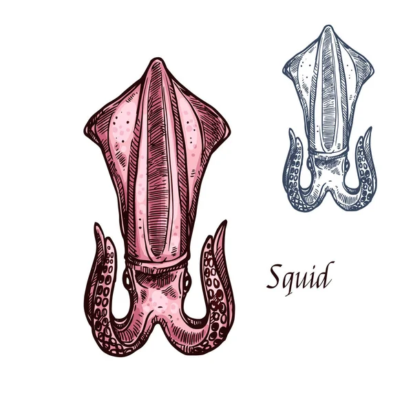 Tintenfisch Vektor isolierte Skizze Meeresfrüchte-Symbol — Stockvektor